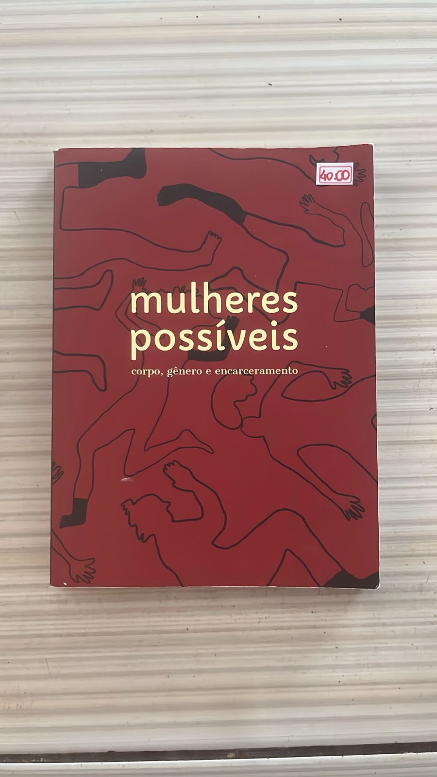 Capa do livro mulheres possíveis: corpo, gênero e encarceramento